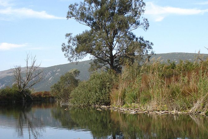 National Bird Reserve Hutovo Blato Photo Safari - Photographic Opportunities