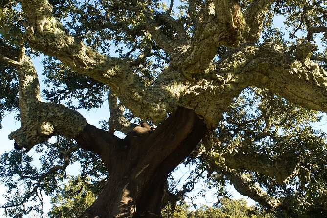 Nature and Wildlife - Sustainable Tourism Practices