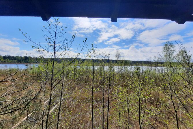 Nature Walk and Wildlife Tour Review - Accessibility and Requirements