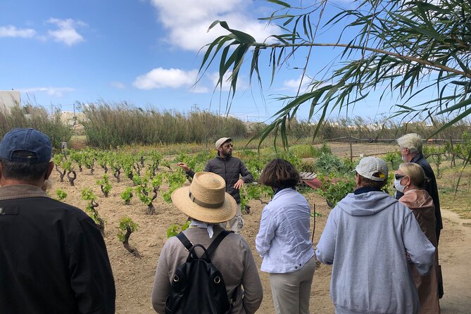 Naxos Wine & Culture Tour - Customer Reviews