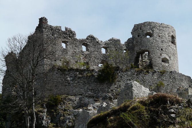 Neuschwanstein and Hohenschwangau Plus Oberammergau Private Tour - Traveler Reviews