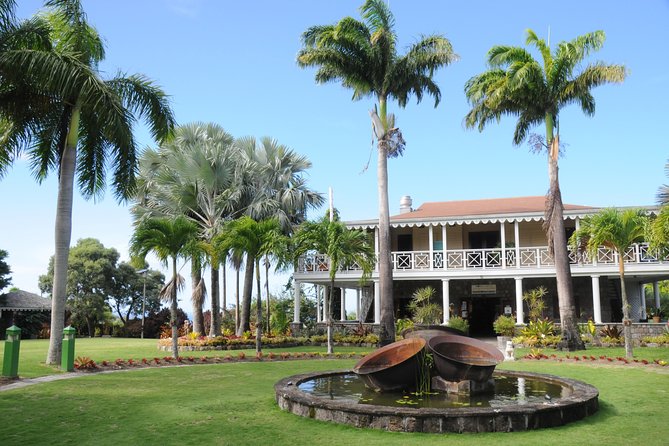 Nevis Island Half-Day Tour - Accessibility and Additional Info