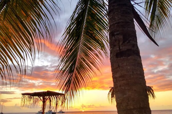 Nevis Island Road Trip - Savoring Nevis Culinary Delights
