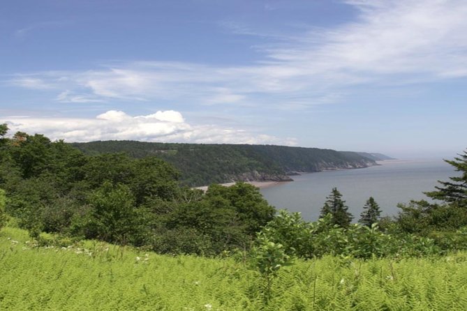 New Brunswick Shore Excursion: Bay of Fundy and More Highlights Tour - Meeting and Pickup