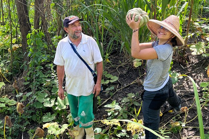 New Lost City Trek Bunkuany & Tayrona Park 2 Days 1 Night Hostel - Exploring Tayrona Park