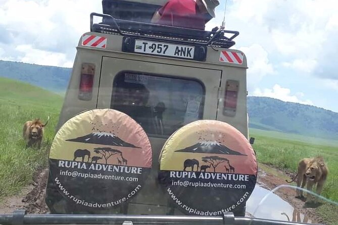 Ngorongoro Crater Day Trip - Transportation and Accessibility