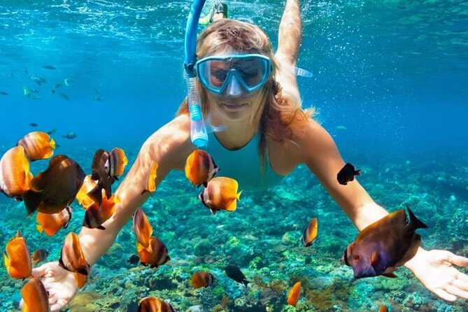 Nha Trang Bay: Explore Half-day Snorkeling at Mun Island - Inclusions and Services
