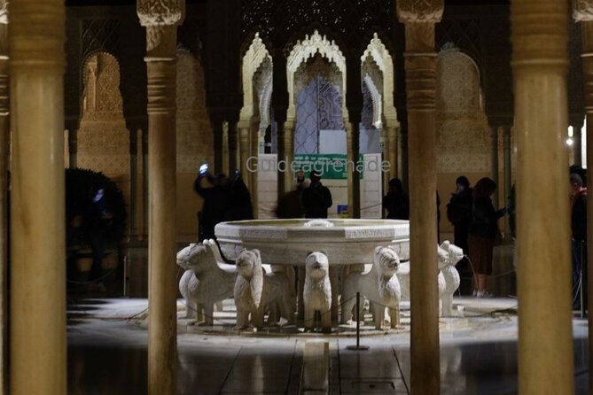 Night Tour of Alhambra and the Nasrid Palaces - Accessibility Features