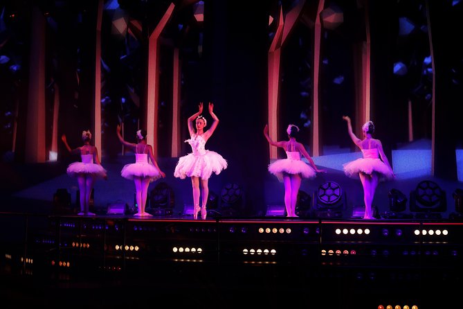 Night Tour to Coco Bongo Punta Cana From Santo Domingo With Open Bar - Pickup Locations