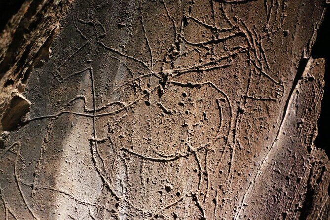 Night Visit to the Engravings of Foz Côa in 4x4 Between Douro and Côa - Reviews Overview