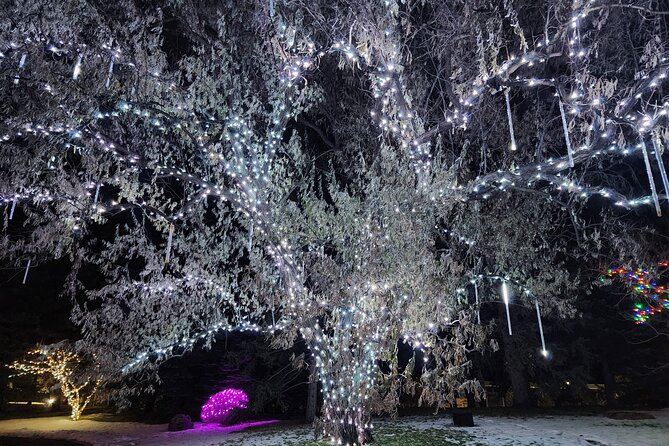 Nikka Yuko Japanese Garden Winter Light Festival - Exploring the Garden Grounds