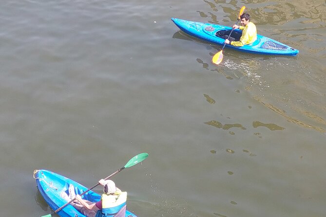 Nile River Kayaking in Cairo With Instructor - Preparing for the Tour