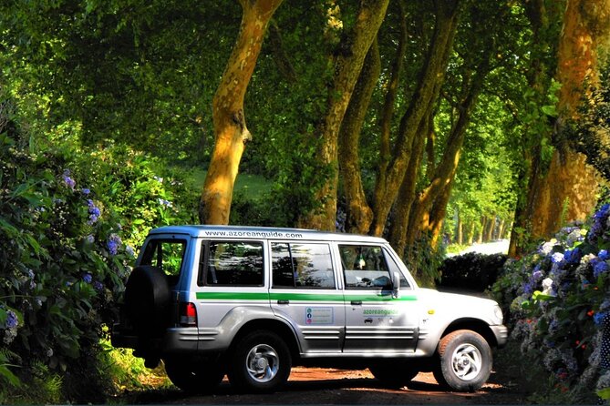Nordeste - Wilderness Nature - Private Jeep Tour With Local Guide - Pickup and Meeting Details