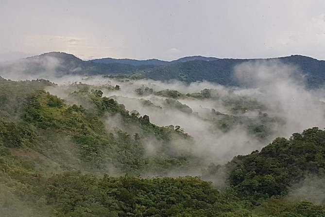 North Coast Mountain Tour & Maracas Beach Stop - Customer Reviews and Feedback