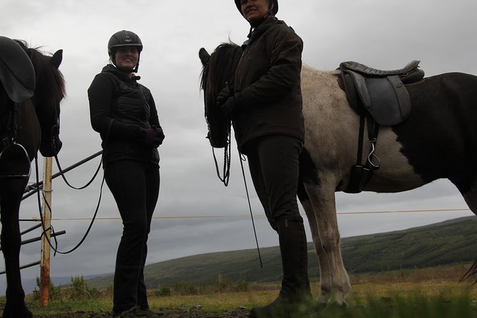 North Iceland: Horseback Riding Tour  - Akureyri - Customer Feedback and Ratings
