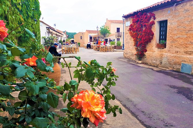 North Sardinia Private and Personalized Tour - Archaeological Discoveries