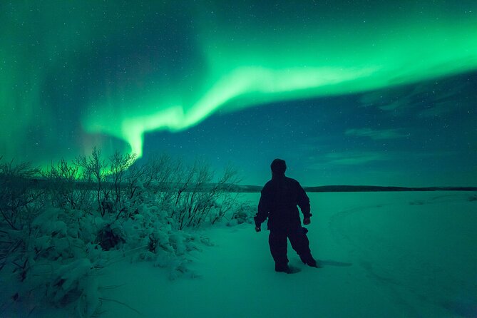 Northern Light Safari by Snowmobiles From Levi - Cancellation Policy Explained