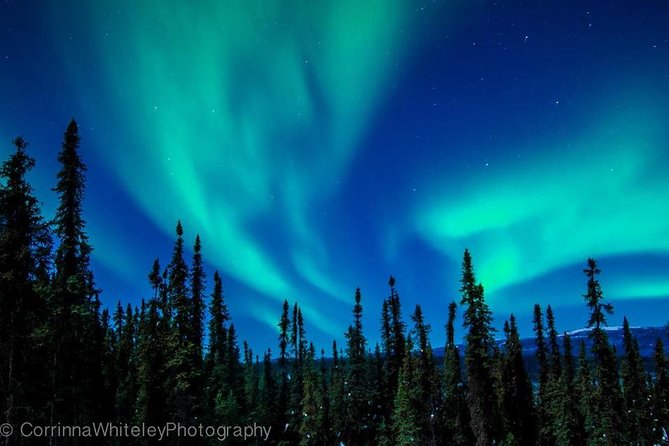 Northern Lights Experience and Cabin Dinner - Transportation and Pickup Details