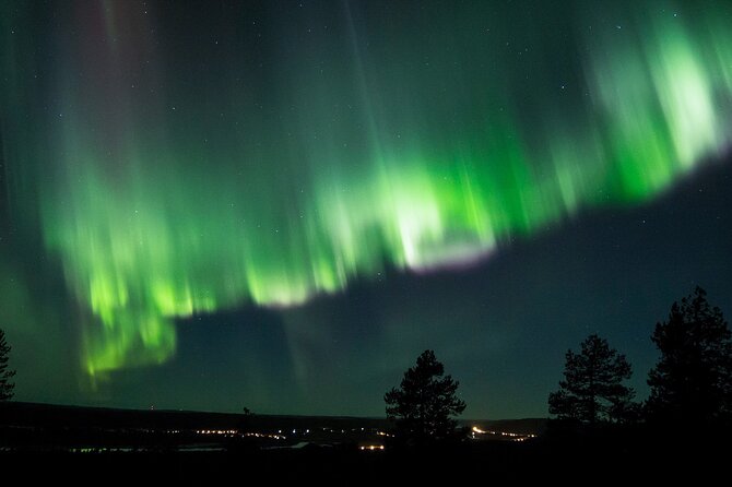 Northern Lights Hunting Tour From Rovaniemi With Guaranteed Views - Participation Guidelines