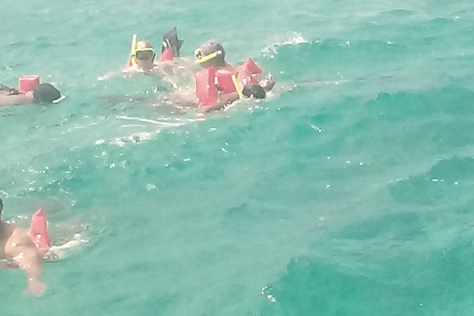 Ocho Rios Shore Excursion: Private Snorkel Tour - Marine Life Spotting