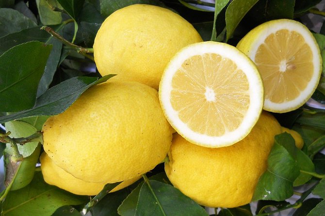 Oil & Lemon Walking Tour- the Essence of Sorrento - Local Producer Visits