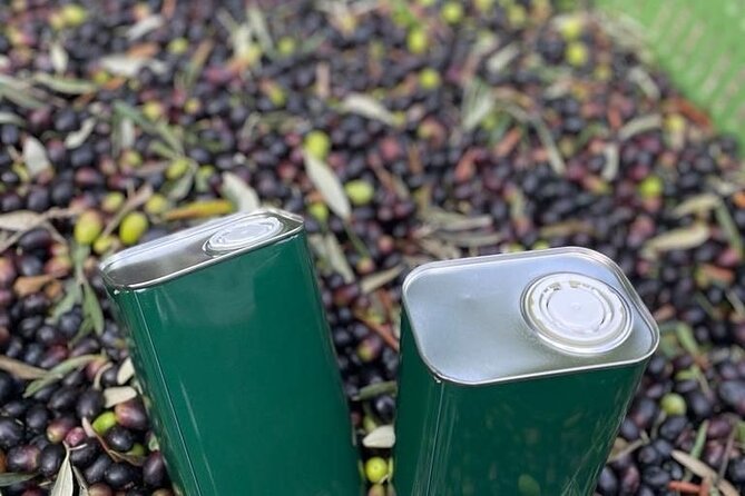 Olive Mill and Winery Experience at Castiglione in Teverina - Traditional Tuscan Lunch Experience