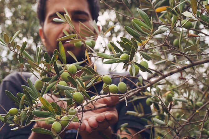 Olive Oil Tasting in Masseria in Ostuni - Booking and Confirmation Details
