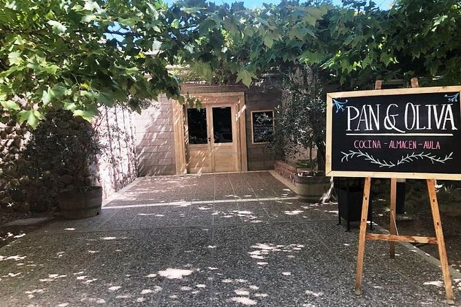 Olive Oils, Gourmet Products and Wines - Accessibility and Participation
