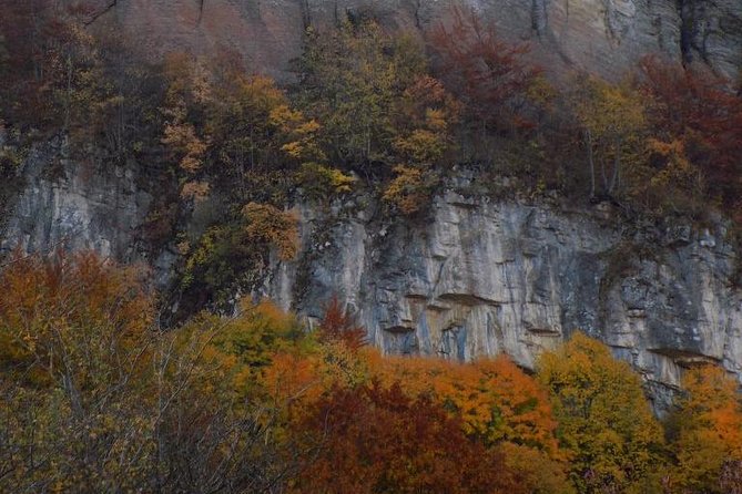 One Day Trip From Sofia: a Walking Over the Jurassic Sea - Since You Asked