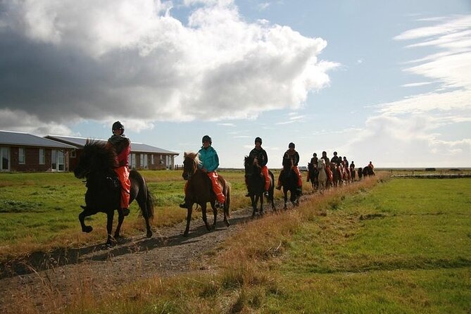 One-Hour Horseback Riding Tour Review - Participant Restrictions