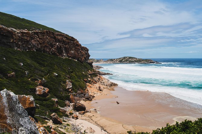 One-Way Hop-On Hop-Off Bus From Port Elizabeth to Cape Town - Accessibility and Group Size