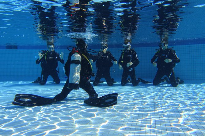 Open Water Diver 2-Day PADI Course in Playa Del Carmen - Operational Details