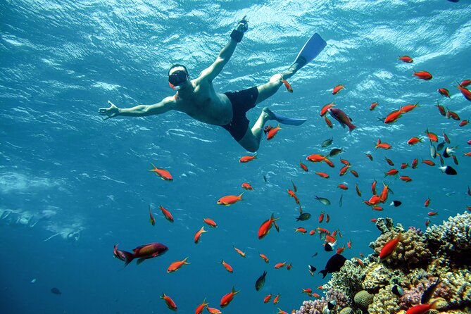 Orange Bay Snorkeling Trip With Lunch & Transfer From Hurghada - Special Offer and Pricing