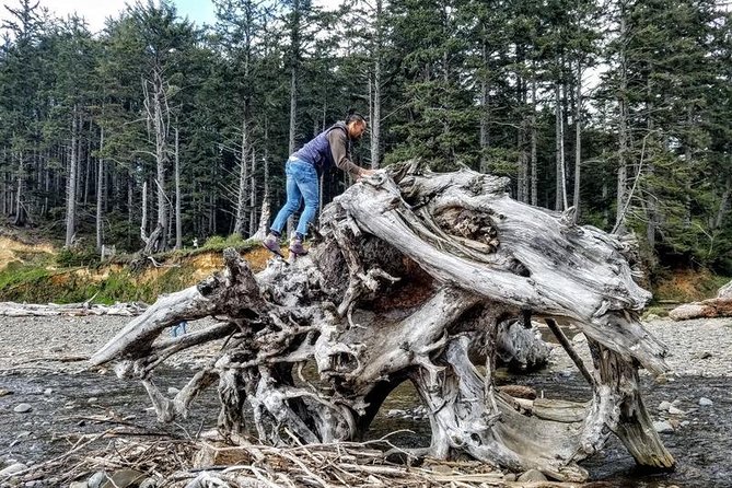 Oregon Coast Tour and Wine Tasting From Portland- Full Day Tour - Reviews and Feedback