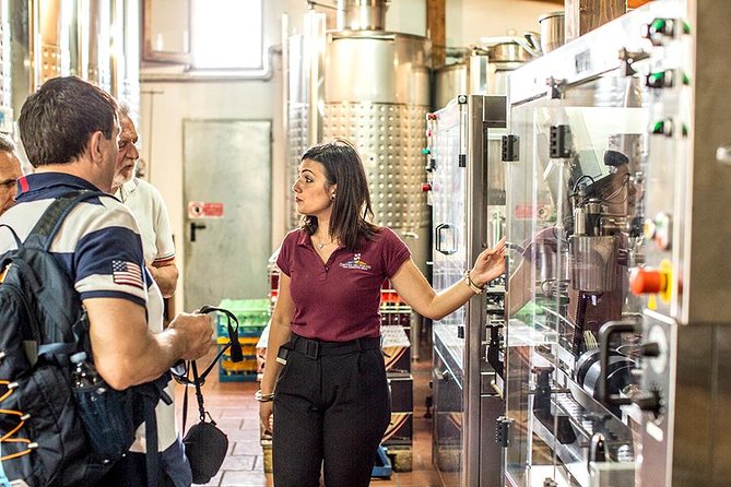 Organic Wine Tasting & Lunch Experience on Mt Vesuvius - Tasting the Lacryma Christi Wines