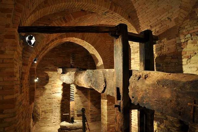 Organic Wine Tasting & Professional Tasting of Olive Oil in the OIL MUSEUM - Experience Overview