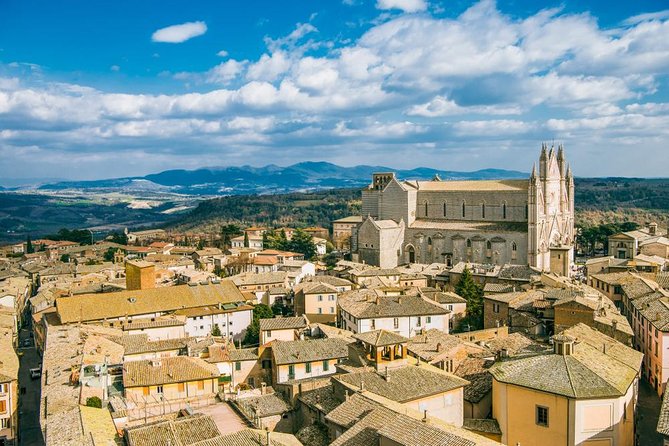 Orvieto: Half-Day Truffle Hunting Experience - Tour Suitability and Restrictions