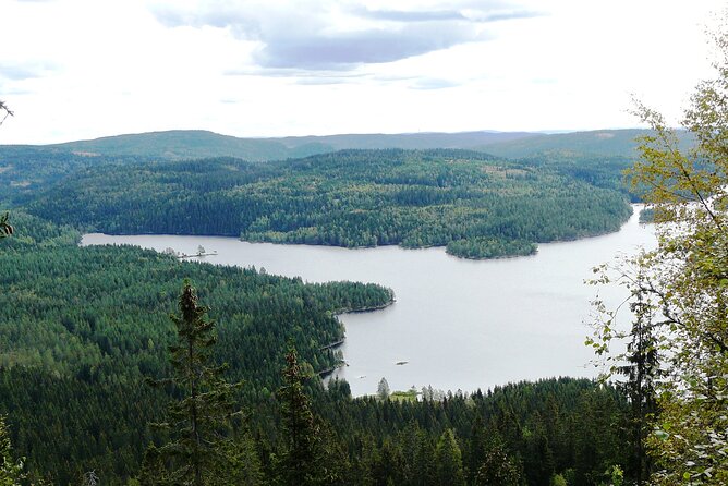 Oslo Nature Walks: Forest to Fjord - Guide Expertise