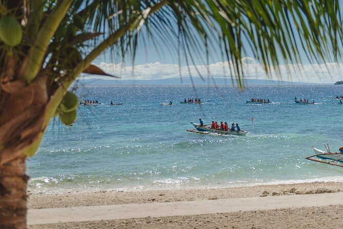 Oslob Whaleshark and Kawasan Falls Tour - Itinerary of the Day