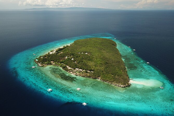 Oslob Whaleshark With Sumilon Island - Included Amenities and Services