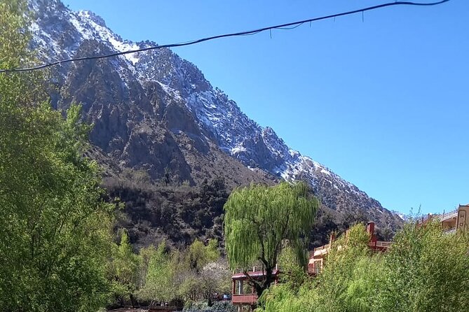 Ourika Valley and Atlas Mountains Day Trip - Health and Accessibility