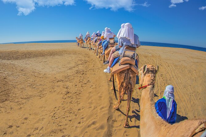 Outback Camel Ride - Customer Reviews and Feedback