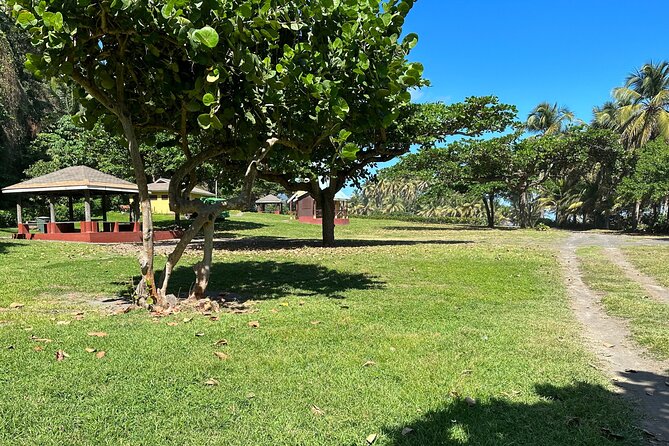 Owia Salt Pond Tour and Black Point Tunnel With Topdawg Taxi and Tours - Booking Details