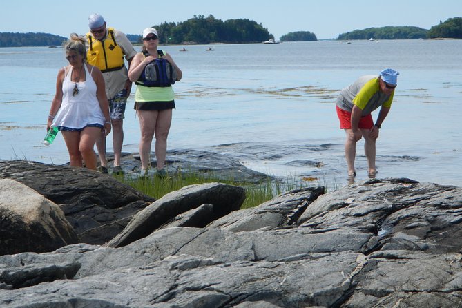 Oyster Farm & Complimentary Tasting Sea Kayak Tour in Casco Bay - Meeting Point and Start Time