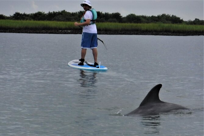 Paddle Board Dolphin Tour - Group Size and Accessibility