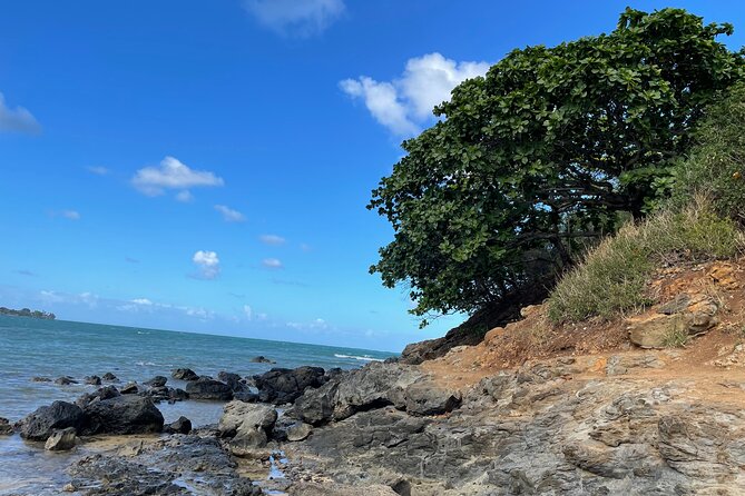 Paddle Boarding and Hiking Adventure at Mokolii Island. - Hiking Mokolii Island