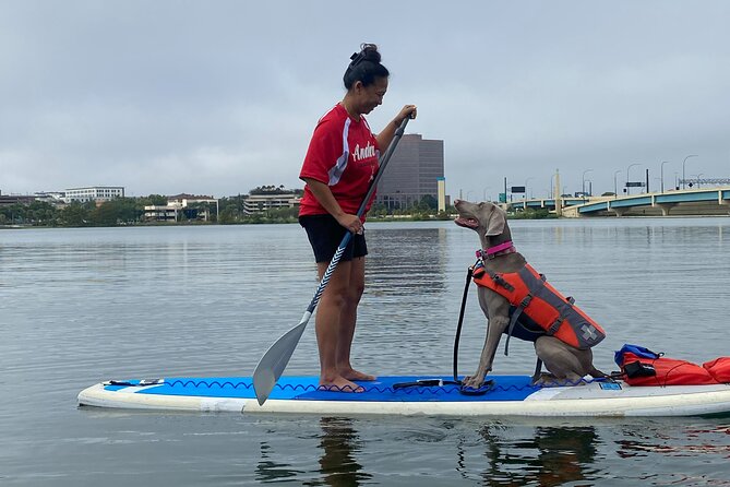 Paddle With Pups in Paradise - Paddleboard or Kayak - Paddleboarding With Pets