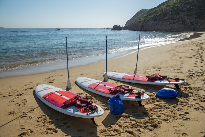 Paddleboard Expedition to the Arch of Cabo San Lucas, Lovers Beach & Snorkel - Activity Details and Restrictions