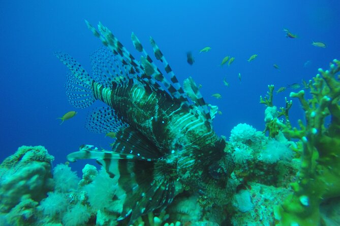 PADI 3 Days Open Water Course - Health and Safety