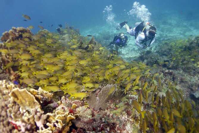 PADI Discover Scuba Diving for Divers Without Certification - Target Audience and Group Size